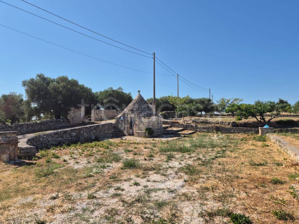 immagine annuncio 9 di 12