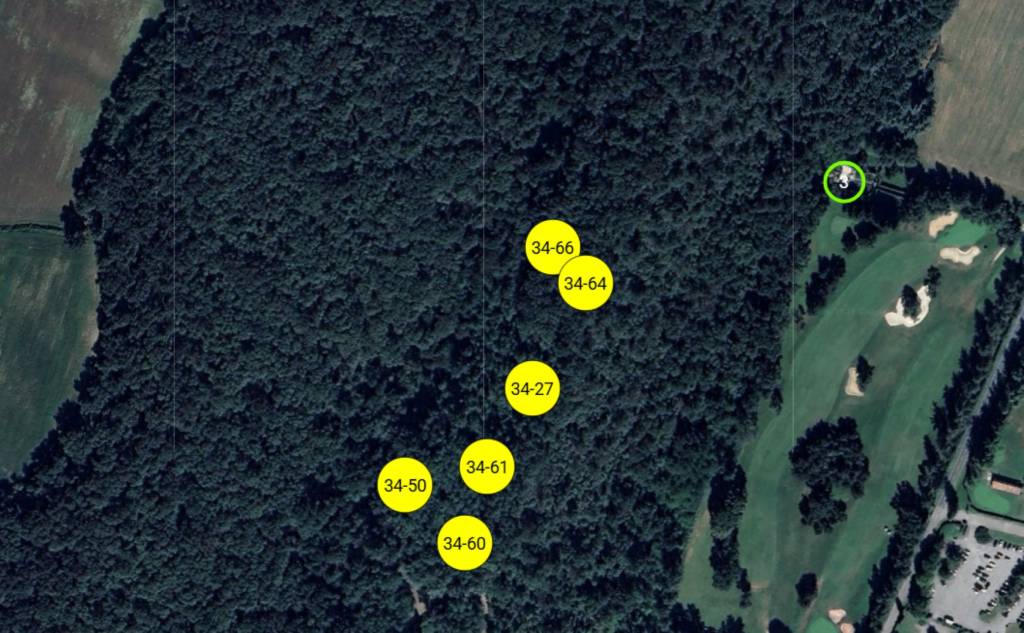 immagine annuncio 1 di 10