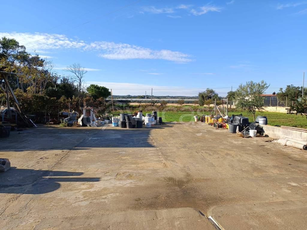 immagine annuncio 2 di 6