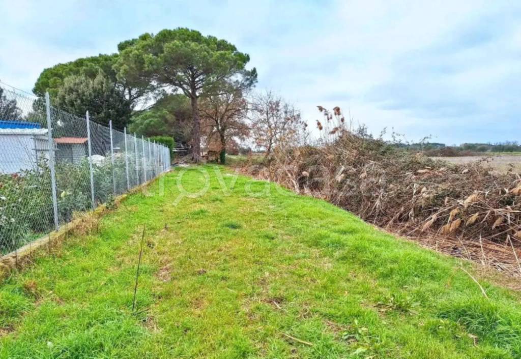 immagine annuncio 6 di 14