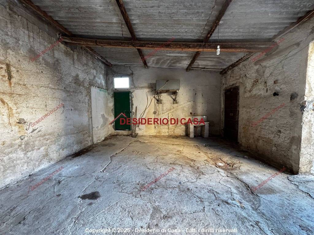 immagine annuncio 12 di 14