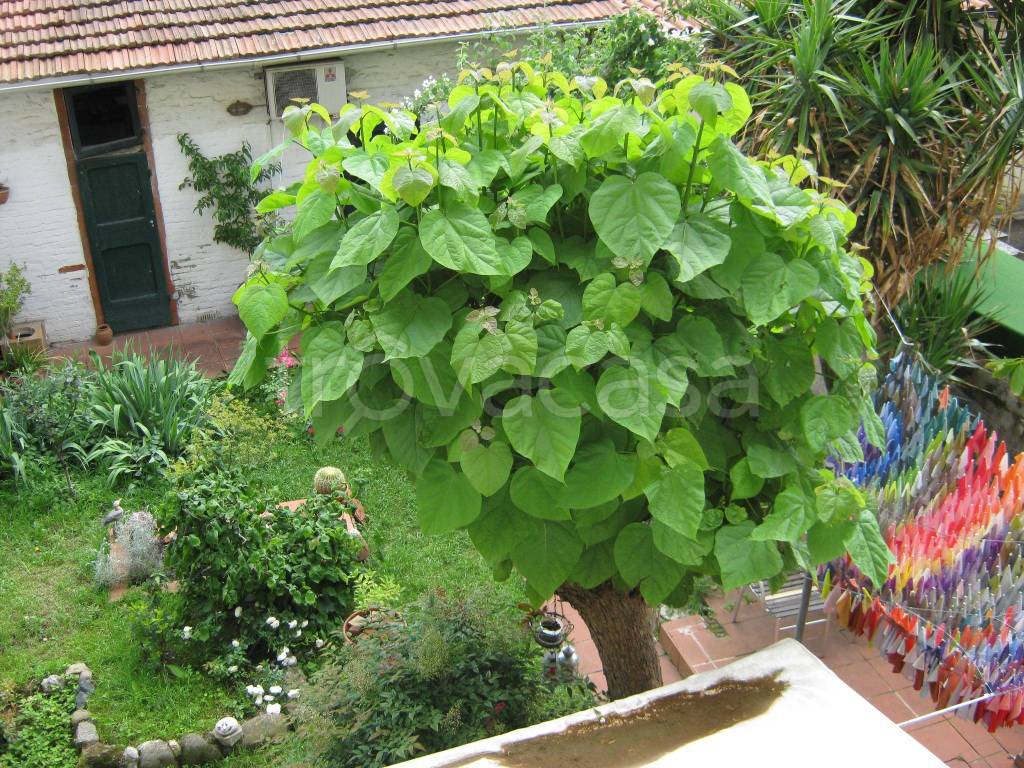 immagine annuncio 9 di 14