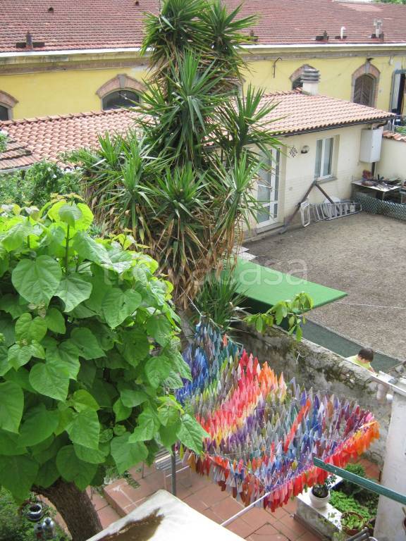 immagine annuncio 10 di 14