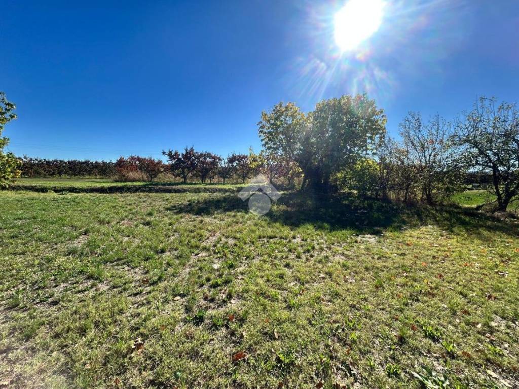 immagine annuncio 4 di 9