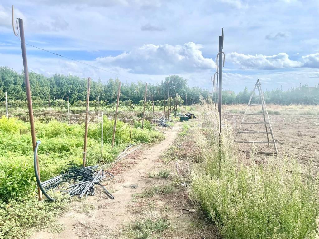 immagine annuncio 7 di 15