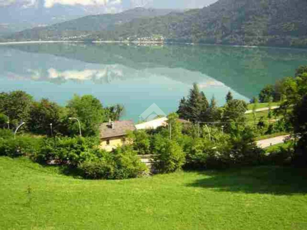 immagine annuncio 1 di 7