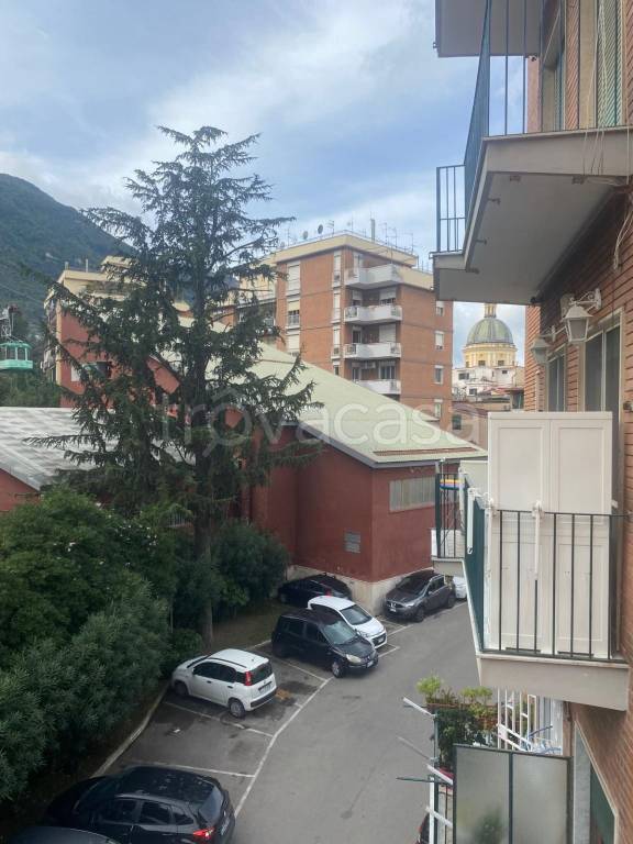 immagine annuncio 4 di 8