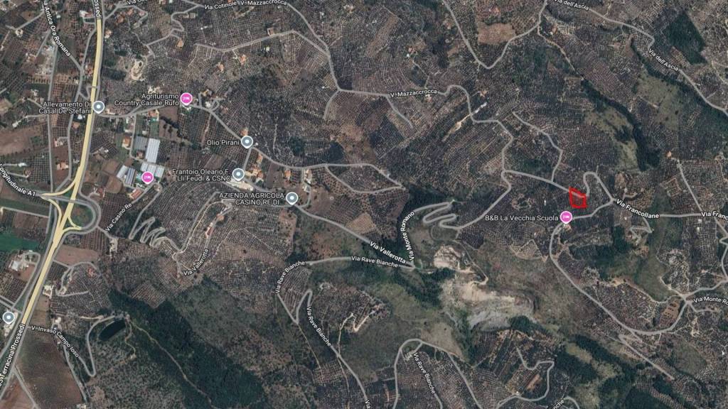 immagine annuncio 10 di 11