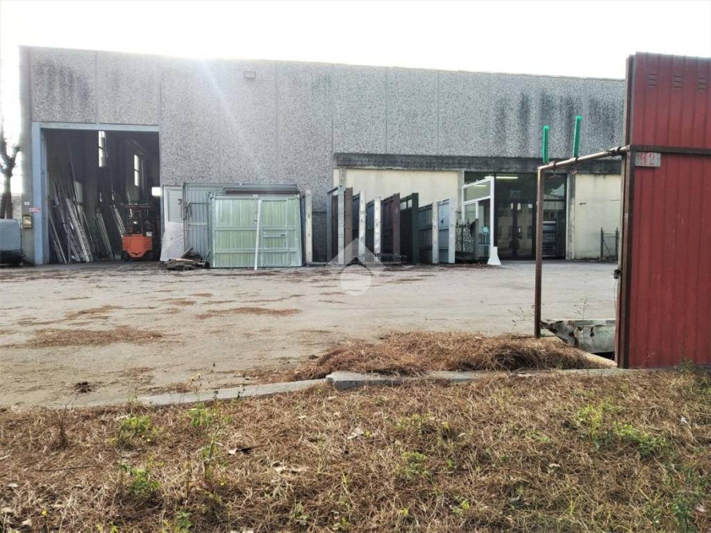 immagine annuncio 2 di 15