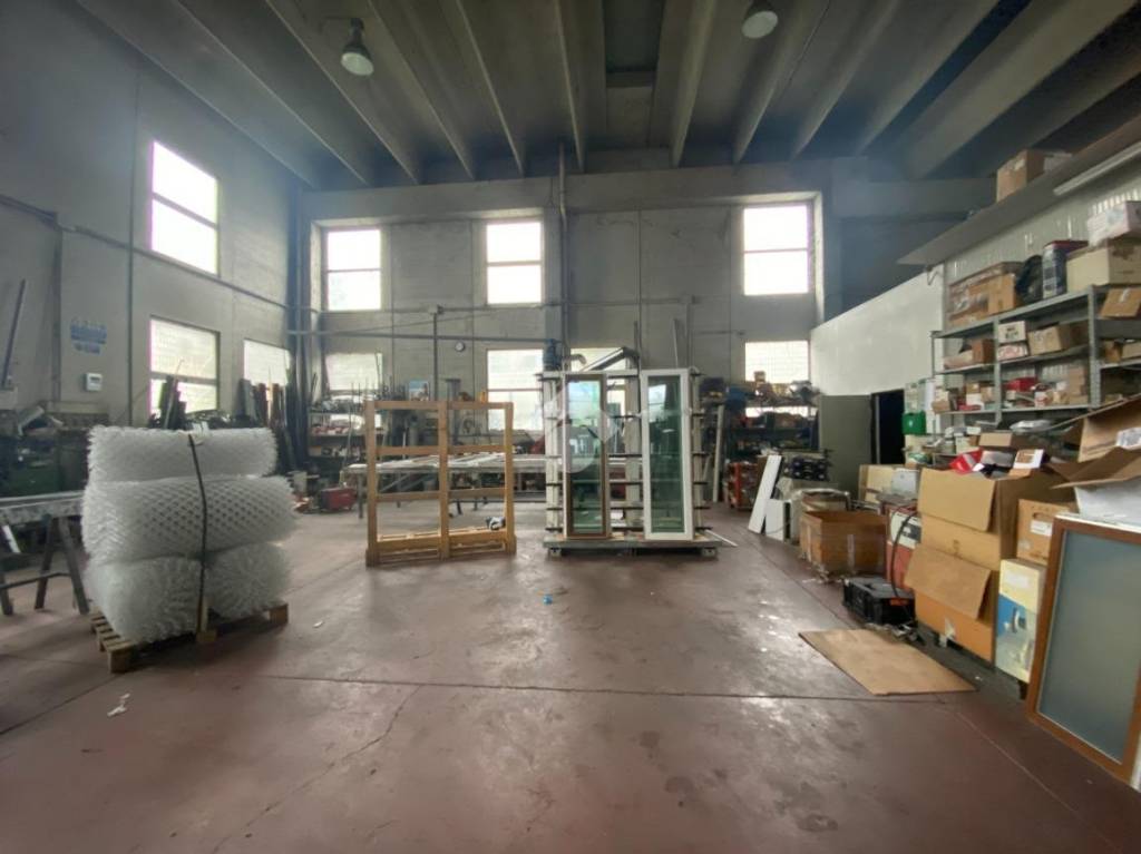 immagine annuncio 9 di 15