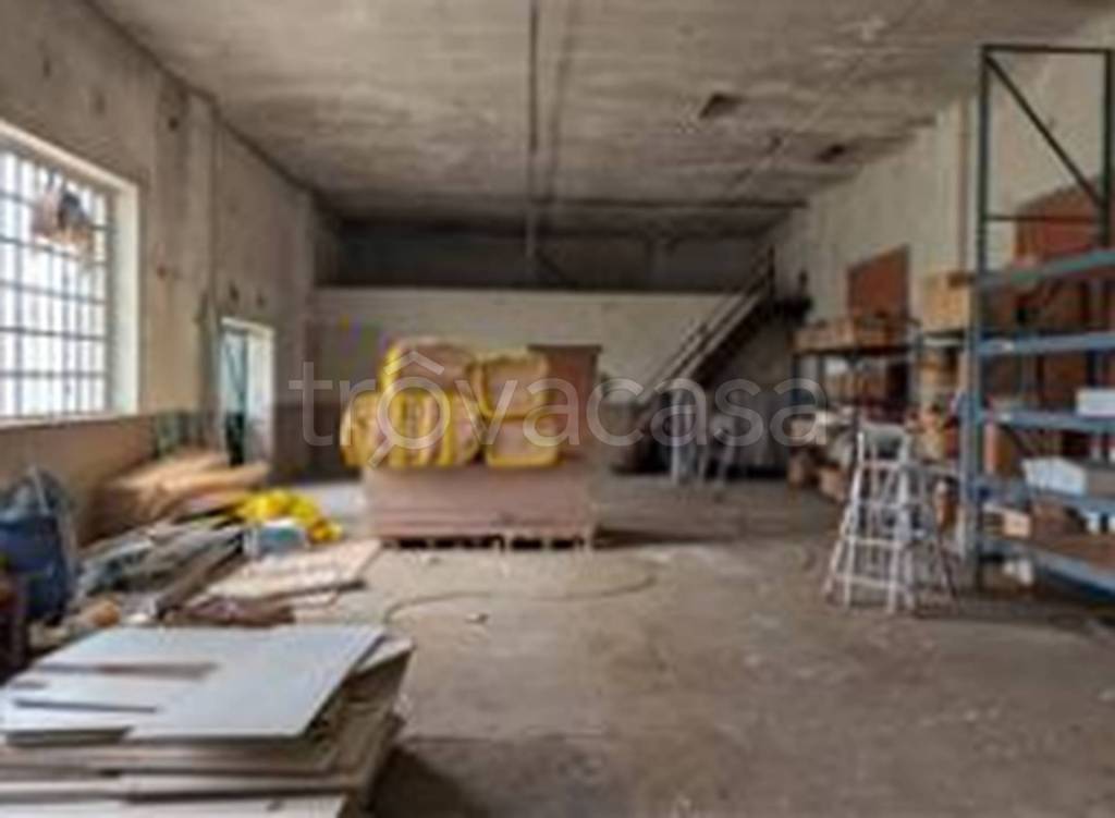 immagine annuncio 2 di 11