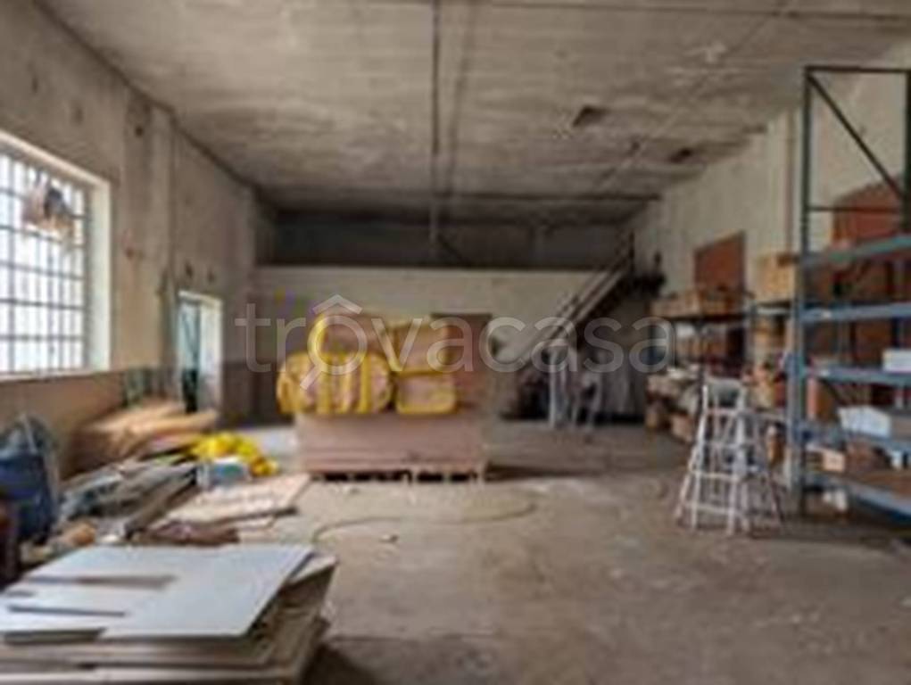 immagine annuncio 5 di 11