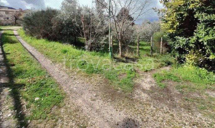 immagine annuncio 13 di 14