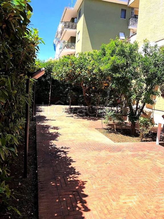 immagine annuncio 7 di 13