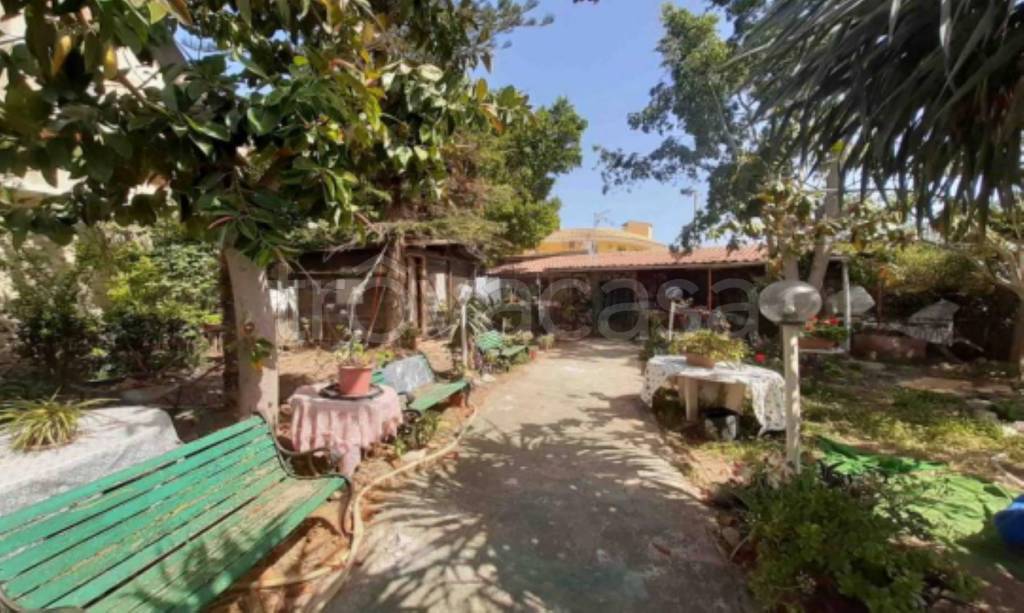 immagine annuncio 6 di 12