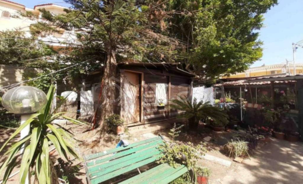 immagine annuncio 7 di 12