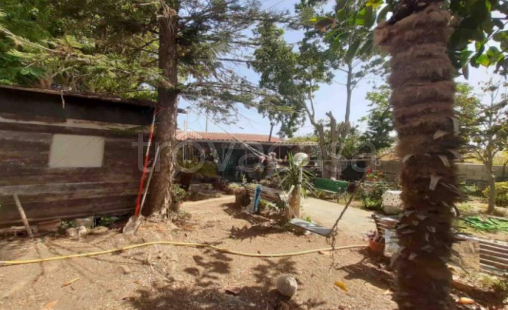 immagine annuncio 8 di 12