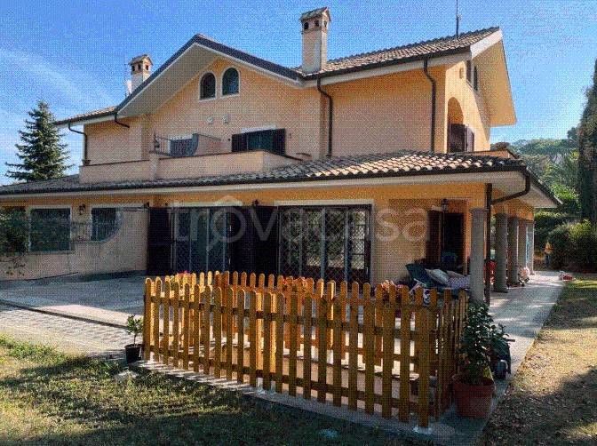 immagine annuncio 2 di 14