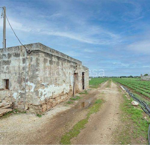 immagine annuncio 1 di 6