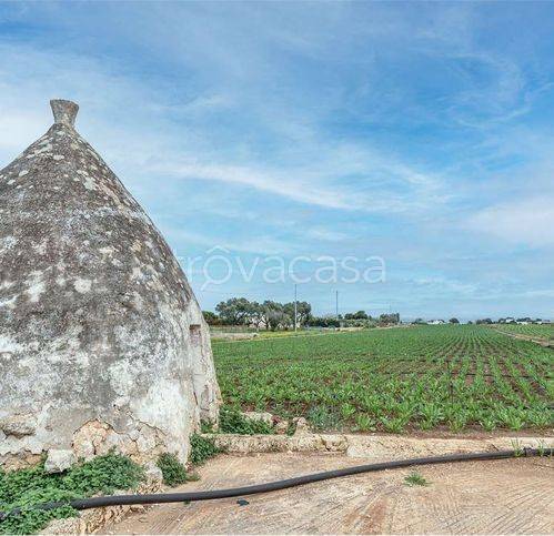 immagine annuncio 5 di 6