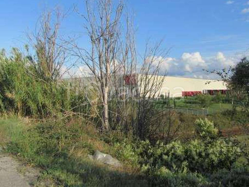 immagine annuncio 4 di 11