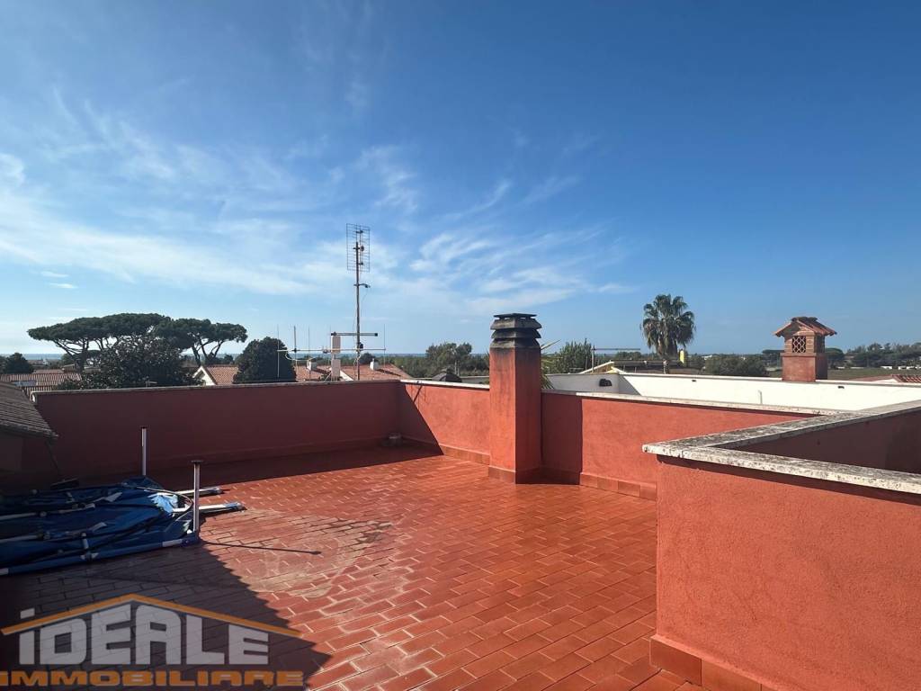 immagine annuncio 12 di 14