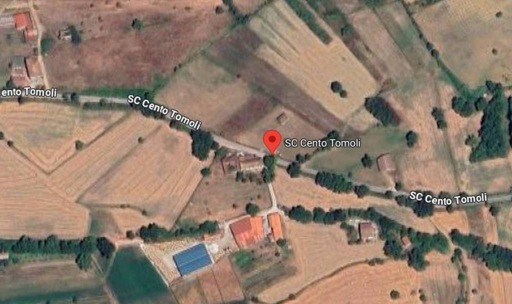 immagine annuncio 6 di 14