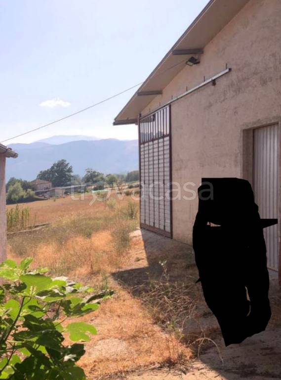 immagine annuncio 9 di 14