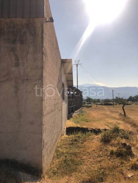 immagine annuncio 12 di 14