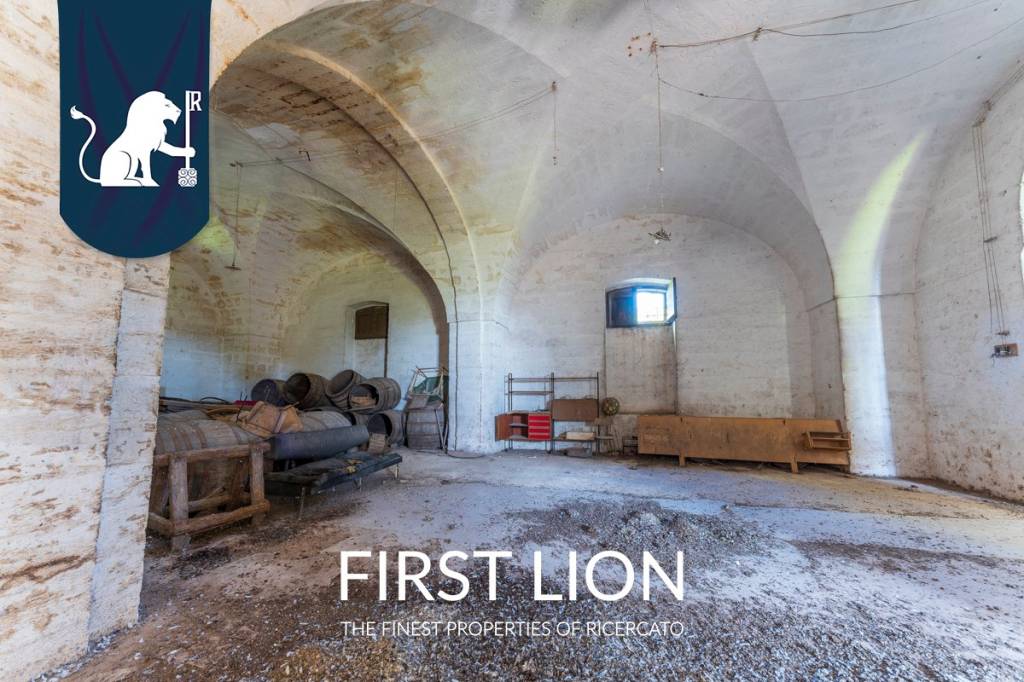 immagine annuncio 13 di 15