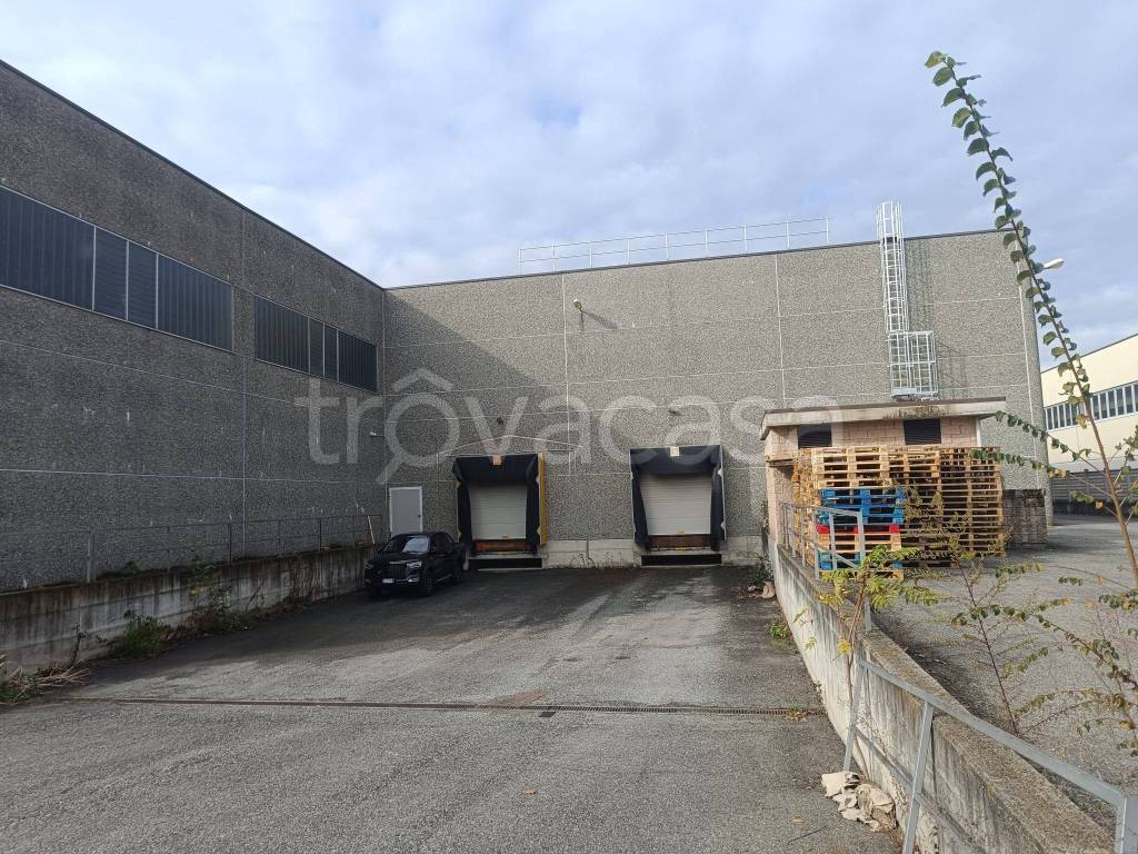 immagine annuncio 5 di 15