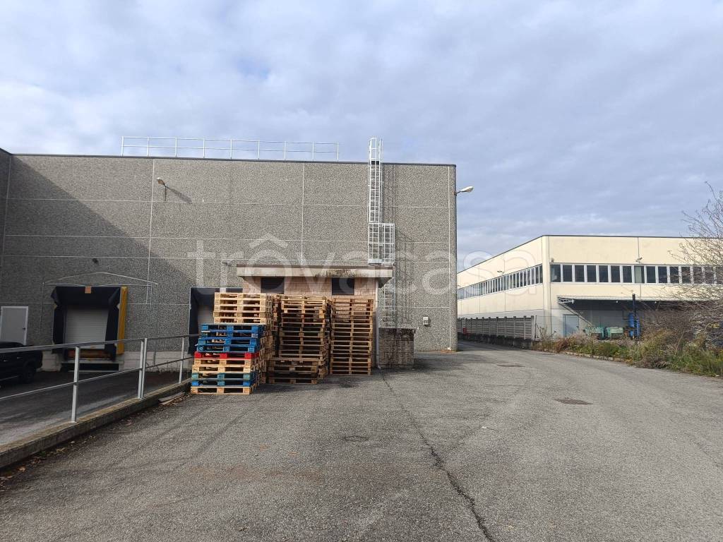 immagine annuncio 6 di 15