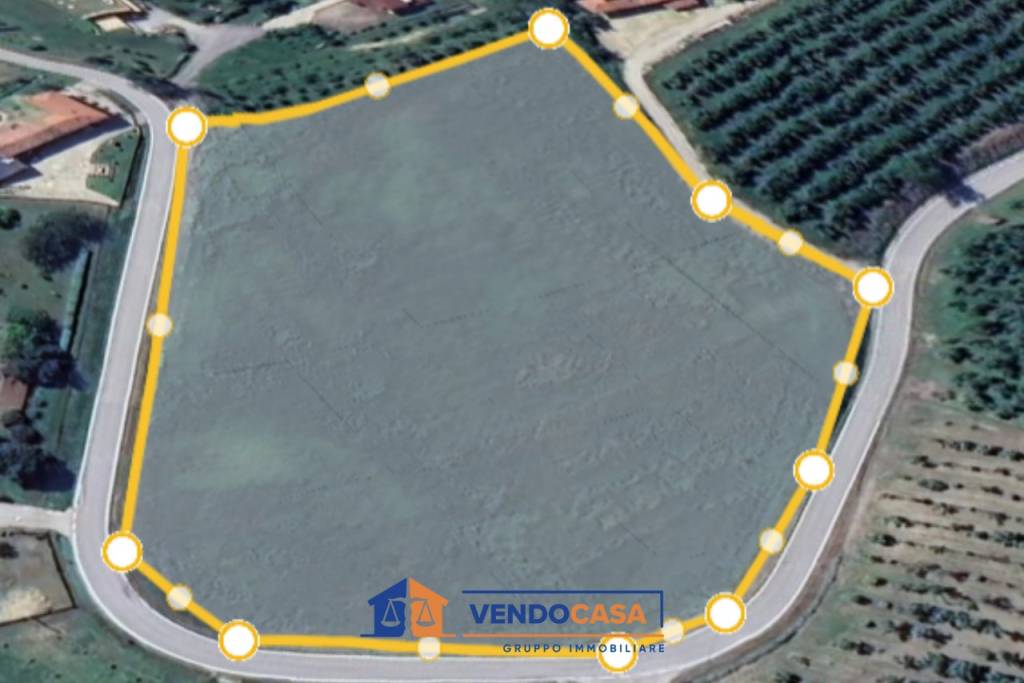 immagine annuncio 3 di 4