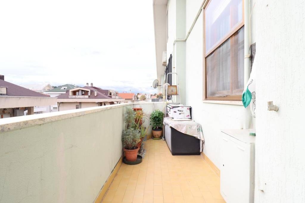 immagine annuncio 9 di 13