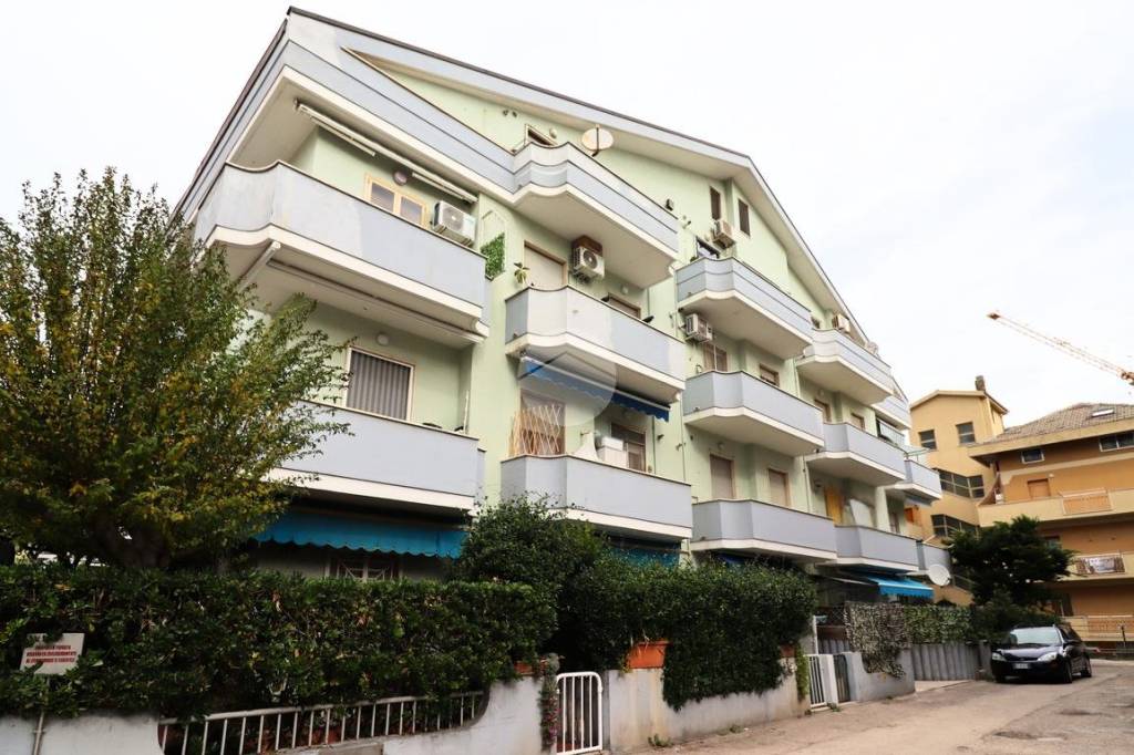 immagine annuncio 12 di 13