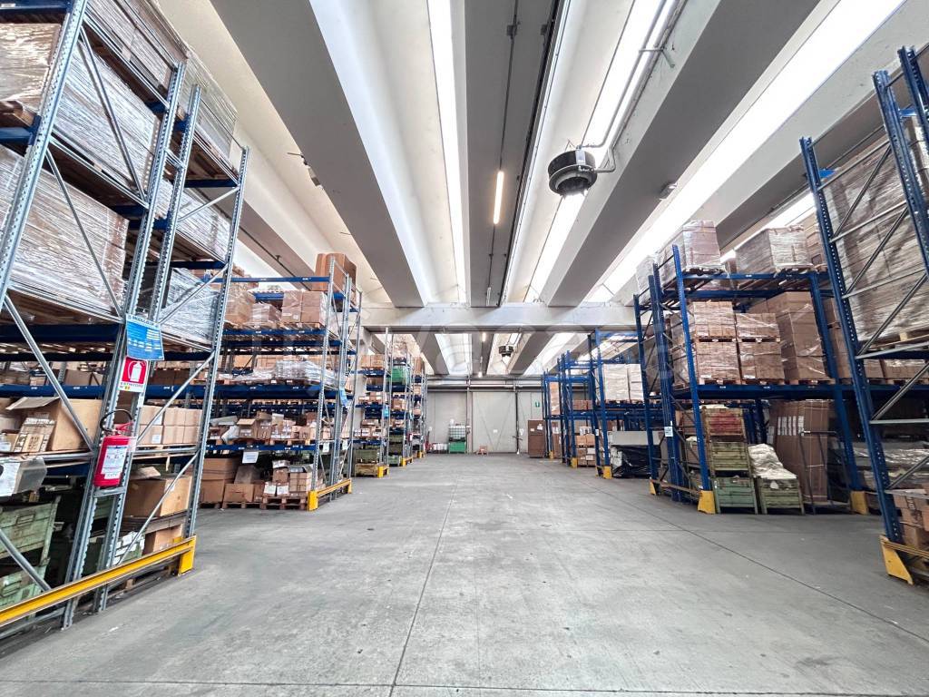 immagine annuncio 8 di 15