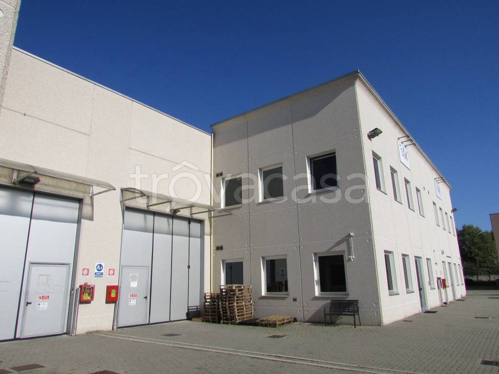 immagine annuncio 3 di 15