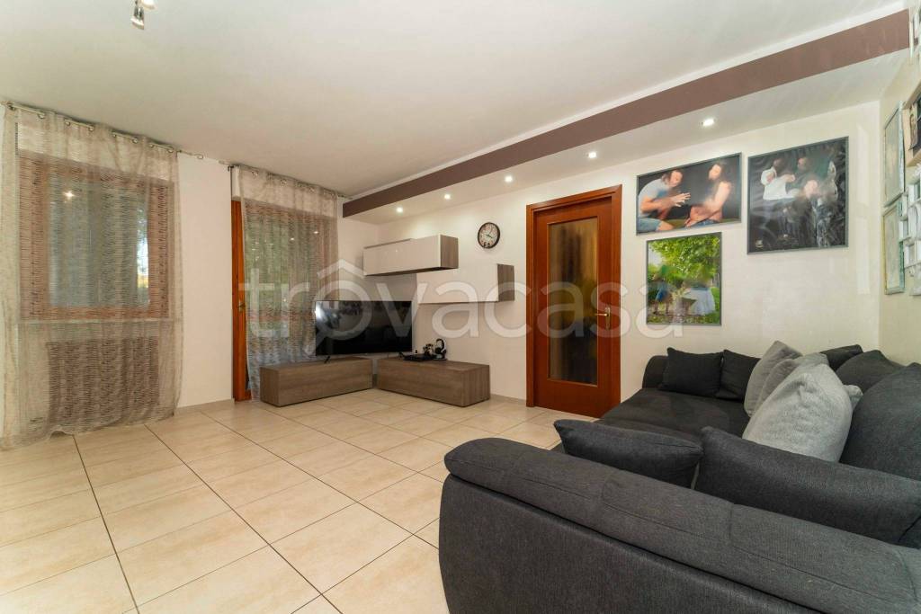 immagine annuncio 12 di 15