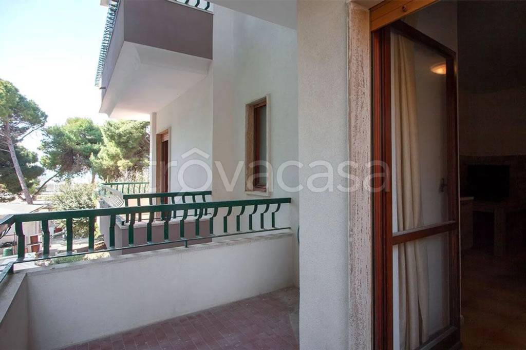 immagine annuncio 13 di 14