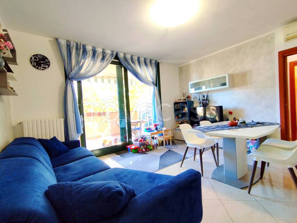 immagine annuncio 6 di 15