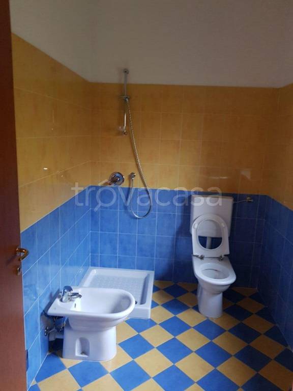 immagine annuncio 11 di 14