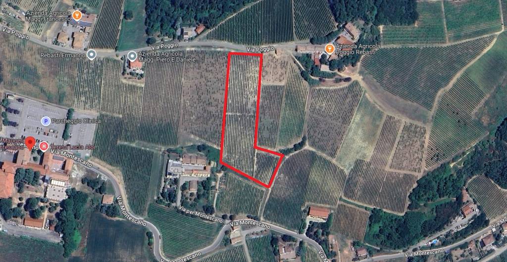 immagine annuncio 2 di 7