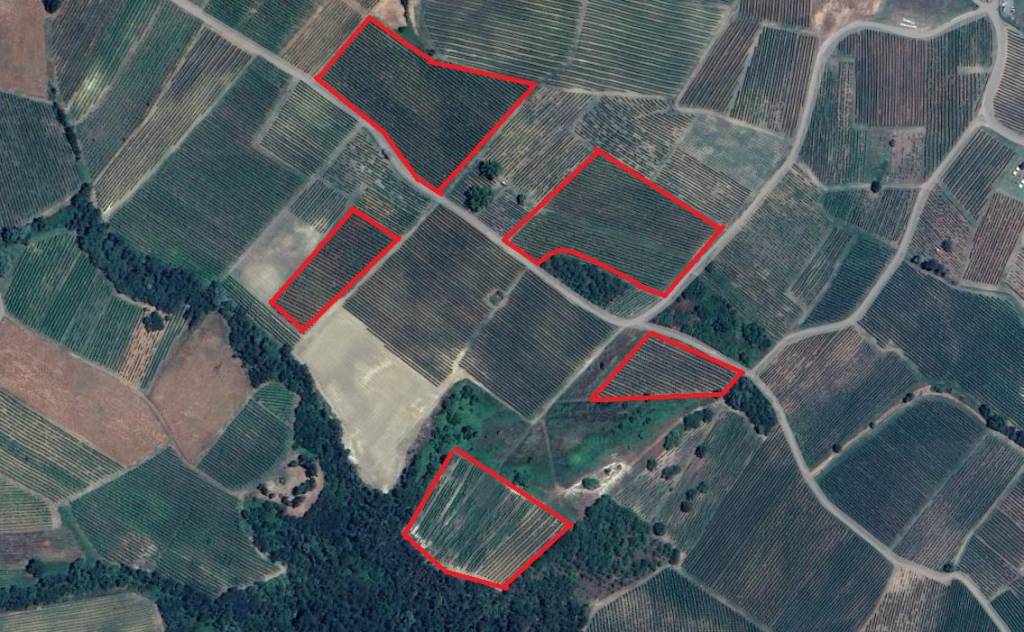 immagine annuncio 3 di 7