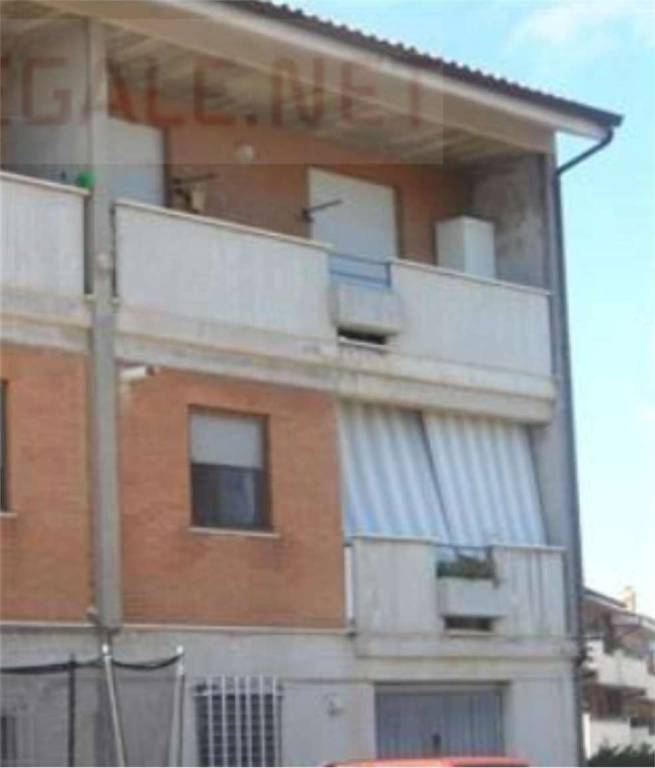 immagine annuncio 4 di 12