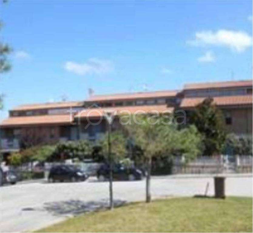 immagine annuncio 10 di 12