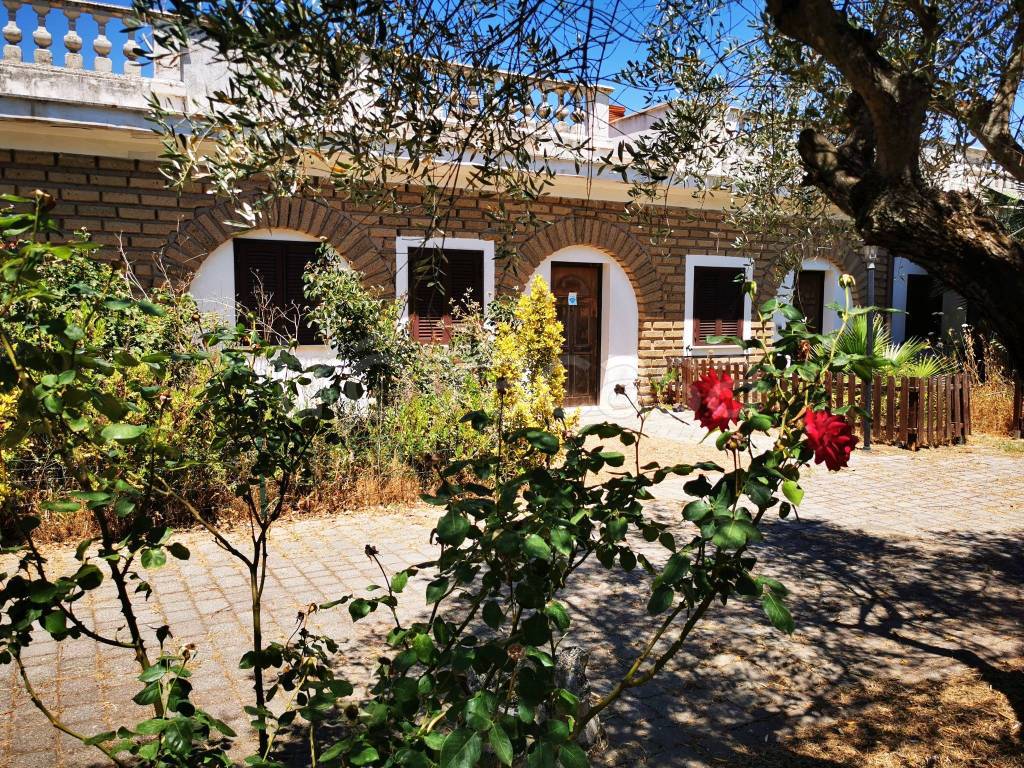 immagine annuncio 3 di 13