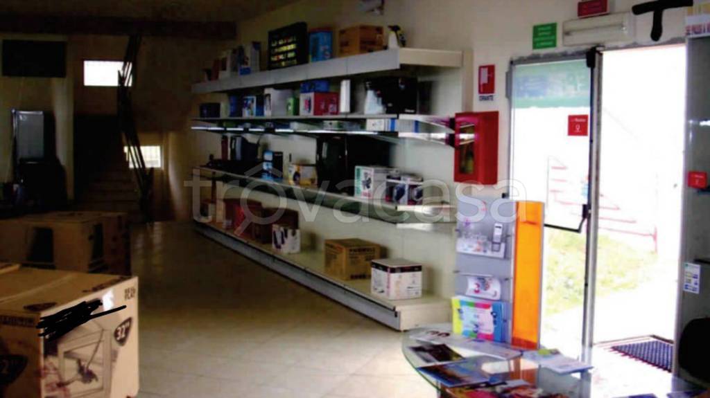 immagine annuncio 5 di 13