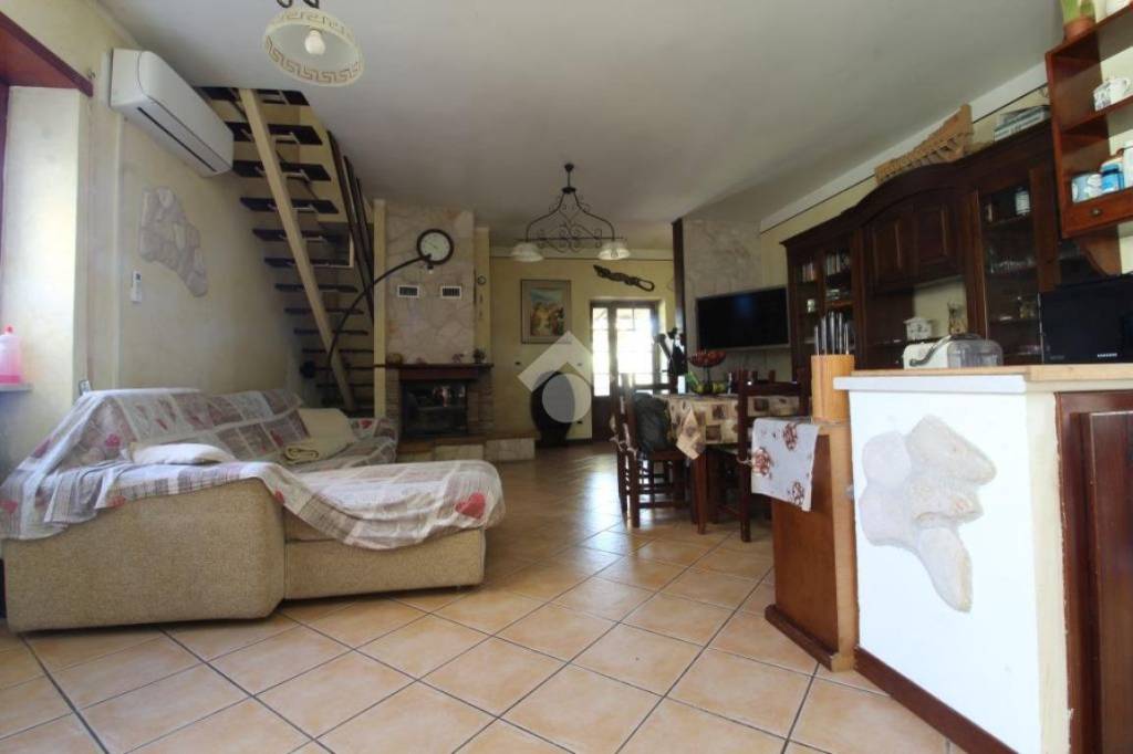 immagine annuncio 1 di 14