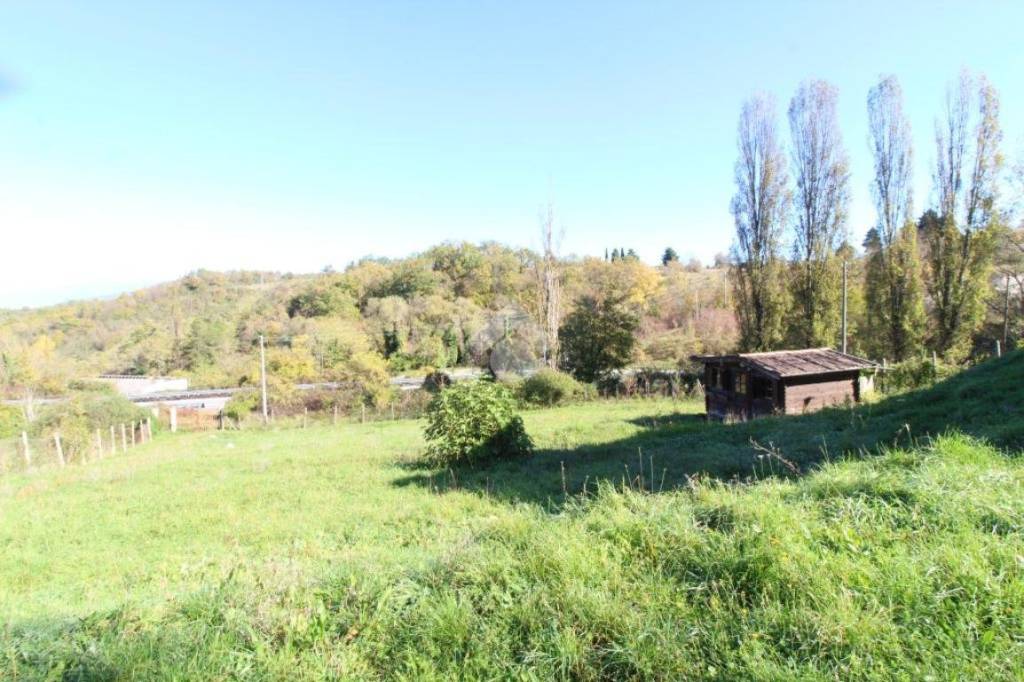 immagine annuncio 11 di 14