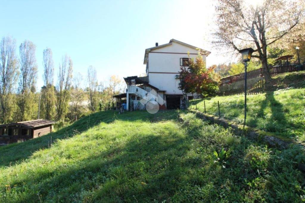 immagine annuncio 12 di 14